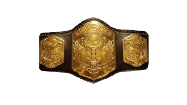 NWA World Women's Championship / NWA Women's Championship ('14-'19)