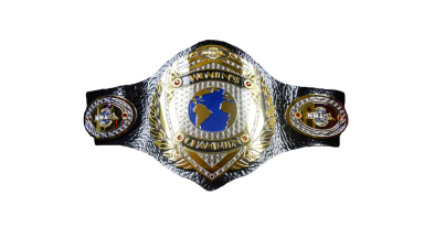 NWA Women's Championship ('86-'02)