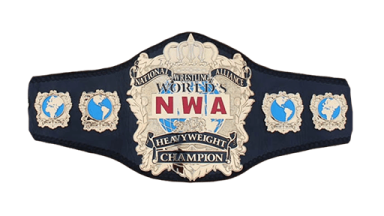 NWA World Heavyweight Championship (Dan Severn) ('02)