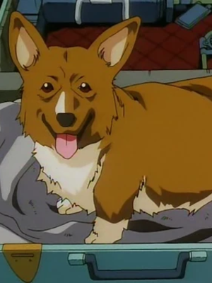 Ein - Cowboy Bebop