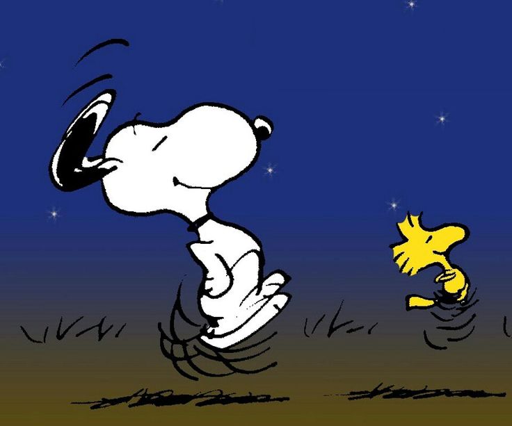 Snoopy and Woodstock (Peanuts)