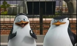 Private and Skipper (Madagacar)