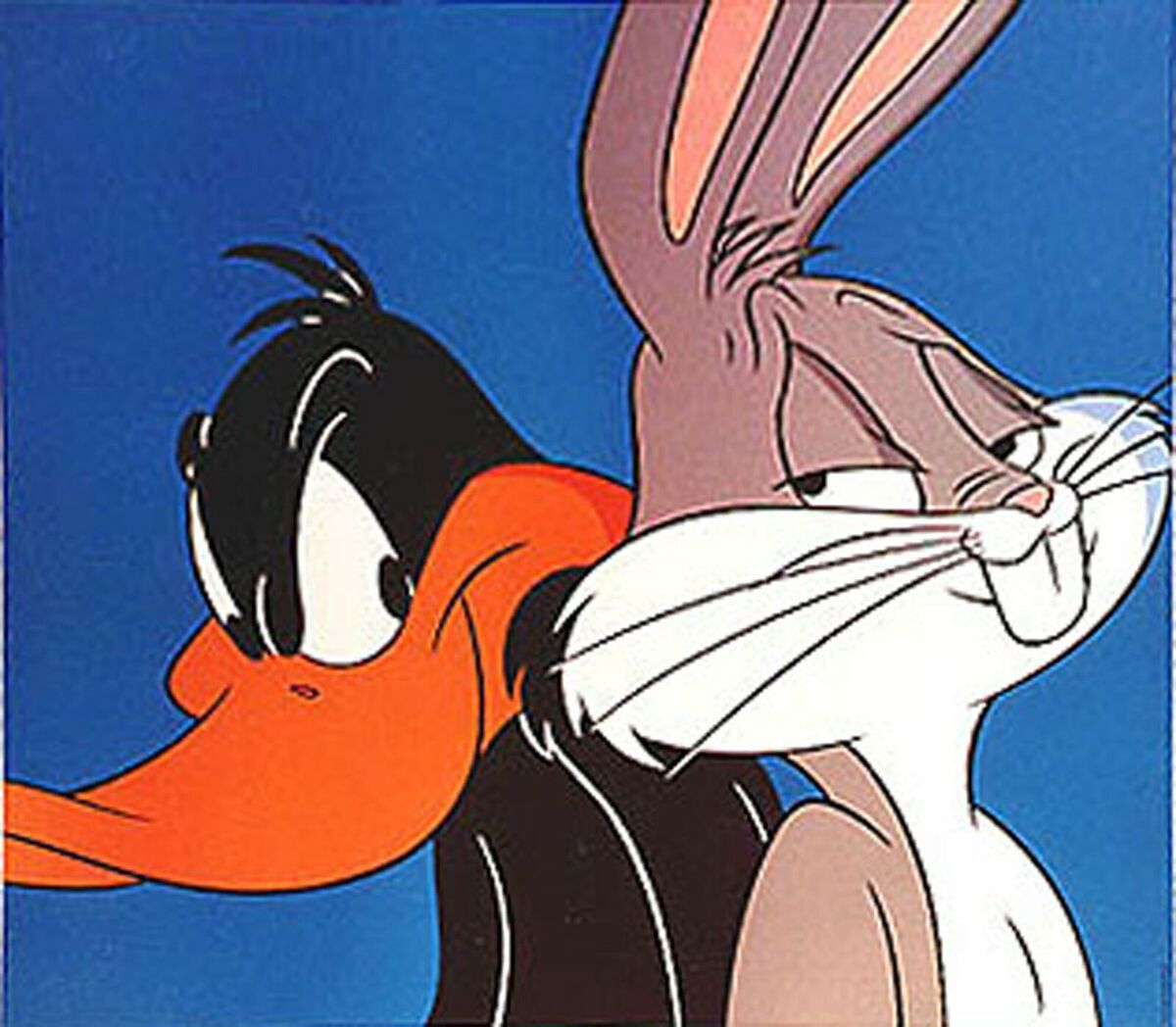 Bugs and Daffy (Looney Tunes)
