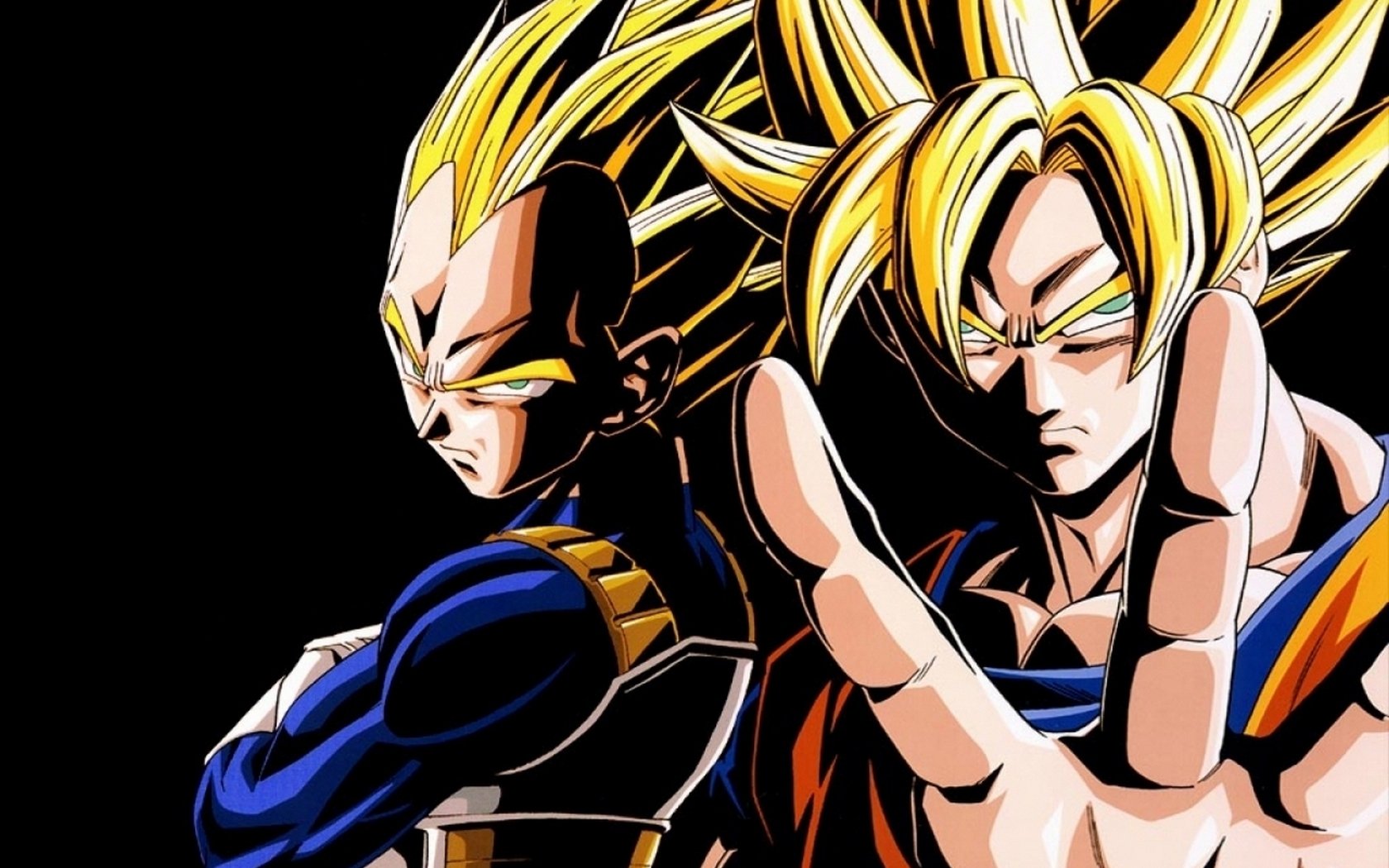 Goku and Vegeta (Dragon Ball)